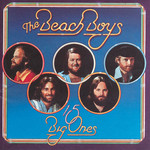 15 Big Ones The Beach Boys