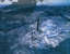 Caratula Interior Frontal de Apocalyptica - Apocalyptica (Special Edition)