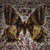 Caratula Interior Frontal de James Blunt - All The Lost Souls (Deluxe Edition)