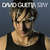 Caratula frontal de Stay (Cd Single) David Guetta