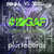 Caratula frontal de #idgaf (I Don't Give A Fuck Remix) (Featuring Dani 3palacios & Sara Tunes) (Cd Single) Fainal