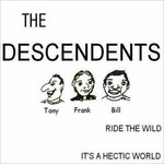 Ride The Wild / It's A Hectic World (Cd Single) Descendents