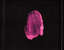 Caratula Interior Trasera de Nicki Minaj - The Pinkprint