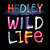 Caratula frontal de Wild Life Hedley
