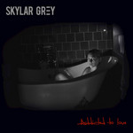 Addicted To Love (Cd Single) Skylar Grey