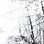The White (Ep) Agalloch