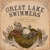 Disco A Forest Of Arms de Great Lake Swimmers