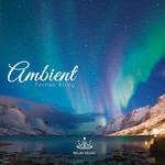 Ambient Fernan Birdy