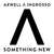 Cartula frontal Axwell Ingrosso Something New (Cd Single)
