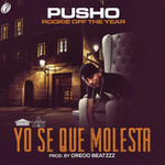 Yo Se Que Molesta (Cd Single) Pusho