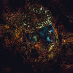 Message From The Other Side Damian Lazarus & The Ancient Moons