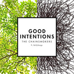 Good Intentions (Featuring Bullysongs) (Cd Single) The Chainsmokers