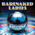 Disco Silverball de Barenaked Ladies