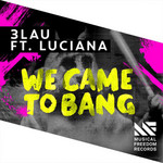 We Came To Bang (Featuring Luciana) (Cd Single) 3lau