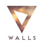 Walls (Cd Single) Slaptop