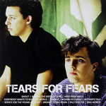 Icon Tears For Fears