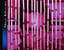 Caratula Interior Trasera de Neal Morse - Neal Morse