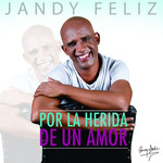 Por La Herida De Un Amor (Cd Single) Jandy Feliz
