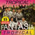 Disco Fantasia Tropical 15 Exitos de Grupo Fantasia