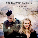 Never Forget You (Stefiibeats Remix) (Cd Single) Zara Larsson & Mnek