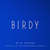 Disco Wild Horses (Matrix & Futurebound Remix) (Cd Single) de Birdy