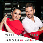 Without You (Featuring David Bisbal) (Cd Single) Andra