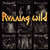 Caratula Frontal de Running Wild - Riding The Storm: The Very Best Of The Noise Years 1983-1995