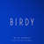 Disco Wild Horses (Sam Feldt Remix) (Cd Single) de Birdy