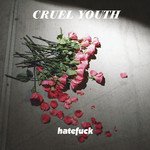 Hatefuck (Cd Single) Cruel Youth