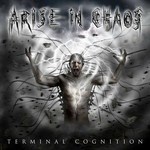 Terminal Cognition Arise In Chaos