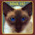 Cartula frontal Blink 182 Cheshire Cat