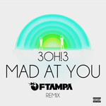 Mad At You (Ftampa Remix) (Cd Single) 3oh!3