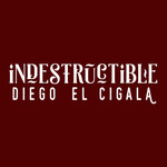Indestructible (Cd Single) Diego El Cigala