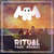 Disco Ritual (Featuring Wrabel) (Cd Single) de Marshmello