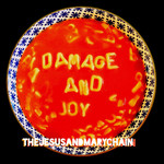 Damage And Joy The Jesus And Mary Chain