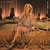 Cartula frontal Zara Larsson So Good (Featuring Ty Dolla $ign) (Cd Single)