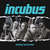Disco Nimble Bastard (Cd Single) de Incubus