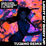 Light My Body Up (Featuring Nicki Minaj & Lil Wayne) (Tujamo Remix) (Cd Single) David Guetta