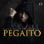 Pegaito (Cd Single) Kale Mr. Party