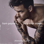Strip That Down (Featuring Quavo) (Nevada Remix) (Cd Single) Liam Payne