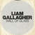 Disco Wall Of Glass (Cd Single) de Liam Gallagher