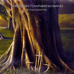 Synchestra Devin Townsend Project