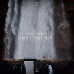 Ain't That Why (Featuring Krewella) (Cd Single) R3hab