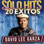 Solo Hits David Lee Garza