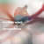 Cartula frontal Eric Saade Another Week (Aevion Remix) (Cd Single)