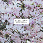 De Verano A Invierno En 3 Dias (Cd Single) Coma Pony