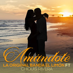 Amandote (Cd Single) La Original Banda El Limon De Salvador Lizarraga
