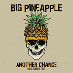 Another Chance (Don Diablo Edit) (Cd Single) Big Pineapple