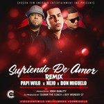 Sufriendo De Amor (Featuring ejo & Don Miguelo) (Remix) (Cd Single) Papi Wilo