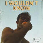 I Wouldn't Know (Cd Single) Benjamin Ingrosso